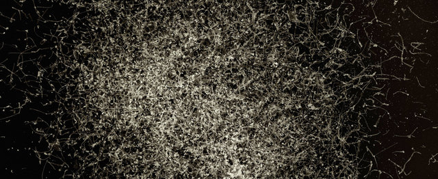 Laurent Lamarche, ‘Éclosion’, 2011, Art Mûr