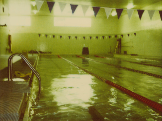Stefanie Schneider, ‘Green Pool II’, 2004, Photography, Digital C-Print based on a Polaroid, not mounted, Instantdreams