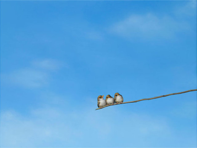 Lilia Mazurkevich, ‘Tom, Dick and Harry’, 2018, M1 Fine Art