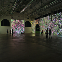 Jennifer Steinkamp
Madame Curie, 2011
seven-channel, synchronized projection
dimensions variable
Collection Museum of Contemporary Art San Diego
Museum purchase with funds provided by Joan and Irwin Jacobs, 2011.1
Photo: Robert Wedemeyer
Jennifer Steinkamp
Madame Curie, 2011
seven-channel, synchronized projection
dimensions variable
Collection Museum of Contemporary Art San Diego
Museum purchase with funds provided by Joan and Irwin Jacobs, 2011.1
Photo: Robert Wedemeyer