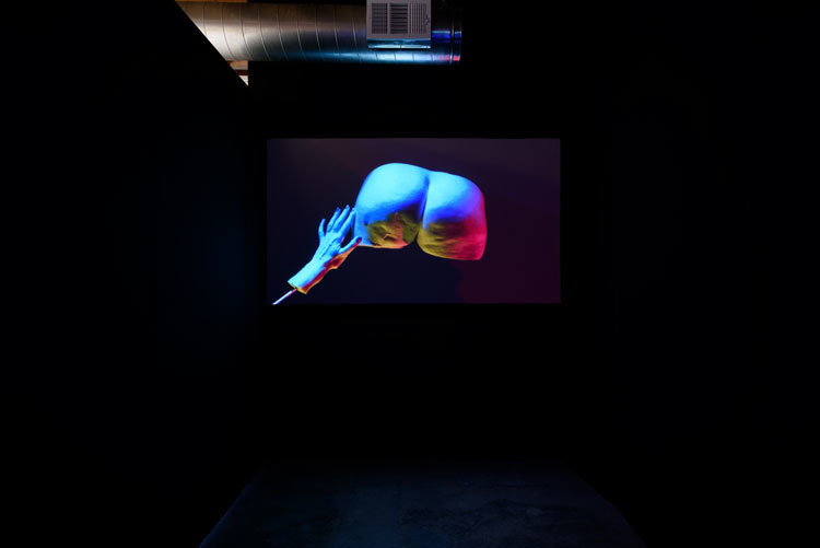 Julie Weitz, 'The Hand Network: Humdog, a prelude', 2017, installation view, Chimento Contemporary. Photo: Ruben Diaz Julie Weitz, 'The Hand Network: Humdog, a prelude', 2017, installation view, Chimento Contemporary. Photo: Ruben Diaz