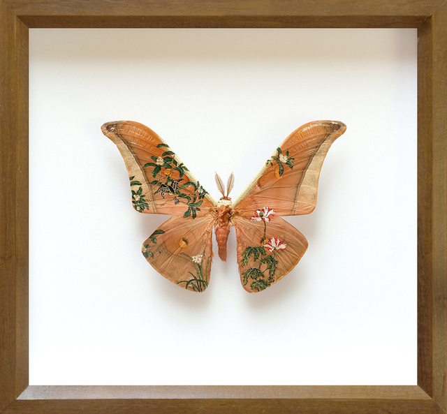 Akihiro Higuchi, ‘Collection 0317’, 2017, Aki Gallery