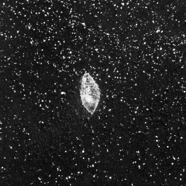 Katrin Koenning, ‘Cocoon / Successions, from Astres Noirs’, 2016, East Wing