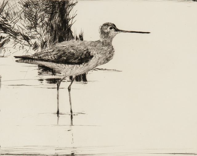 Frank Weston Benson, ‘Yellowlegs No. 4’, 1928, Skinner
