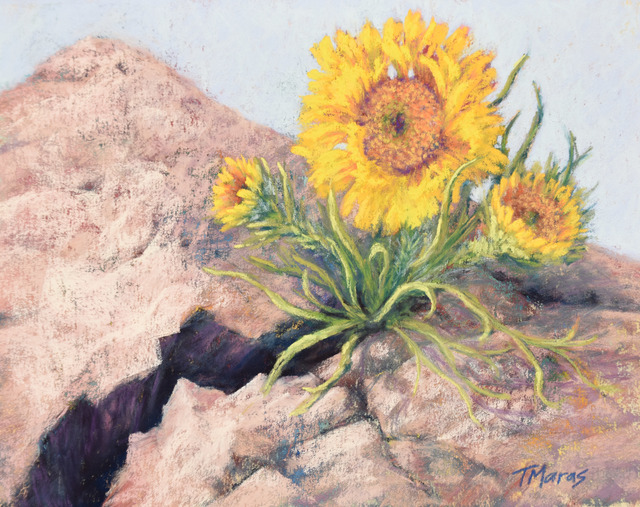 Tracey Maras, ‘And the Sun Will Rise’, 2020, Painting, Pastel, Springfield Art Association
