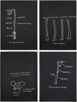Jean-Michel Basquiat - Anterior View; Right Humerus; Female Pelvis; and Posterior View, from Anatomy