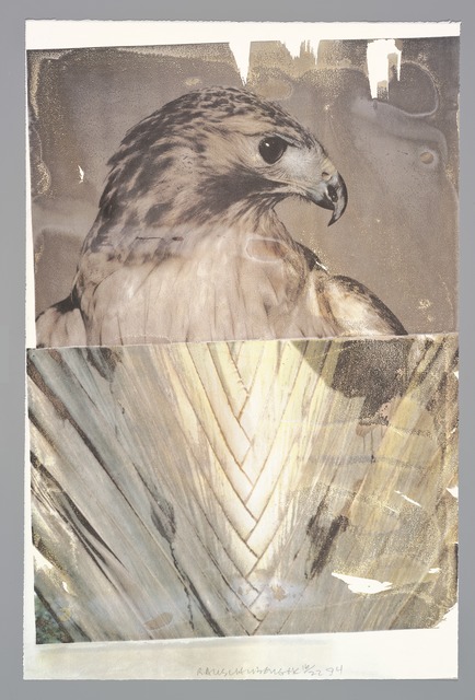 Robert Rauschenberg, ‘Nature (Tribute 21)’, 1994, San Francisco Museum of Modern Art (SFMOMA)