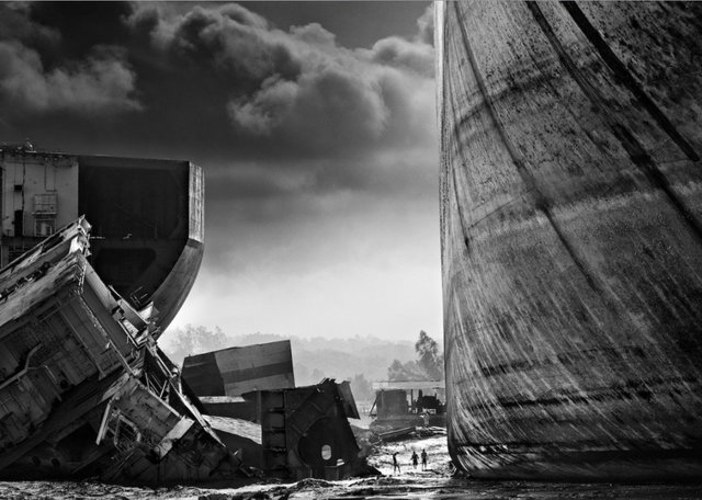 David Yarrow, ‘Antz’, 2015, Kunsthuis Amsterdam