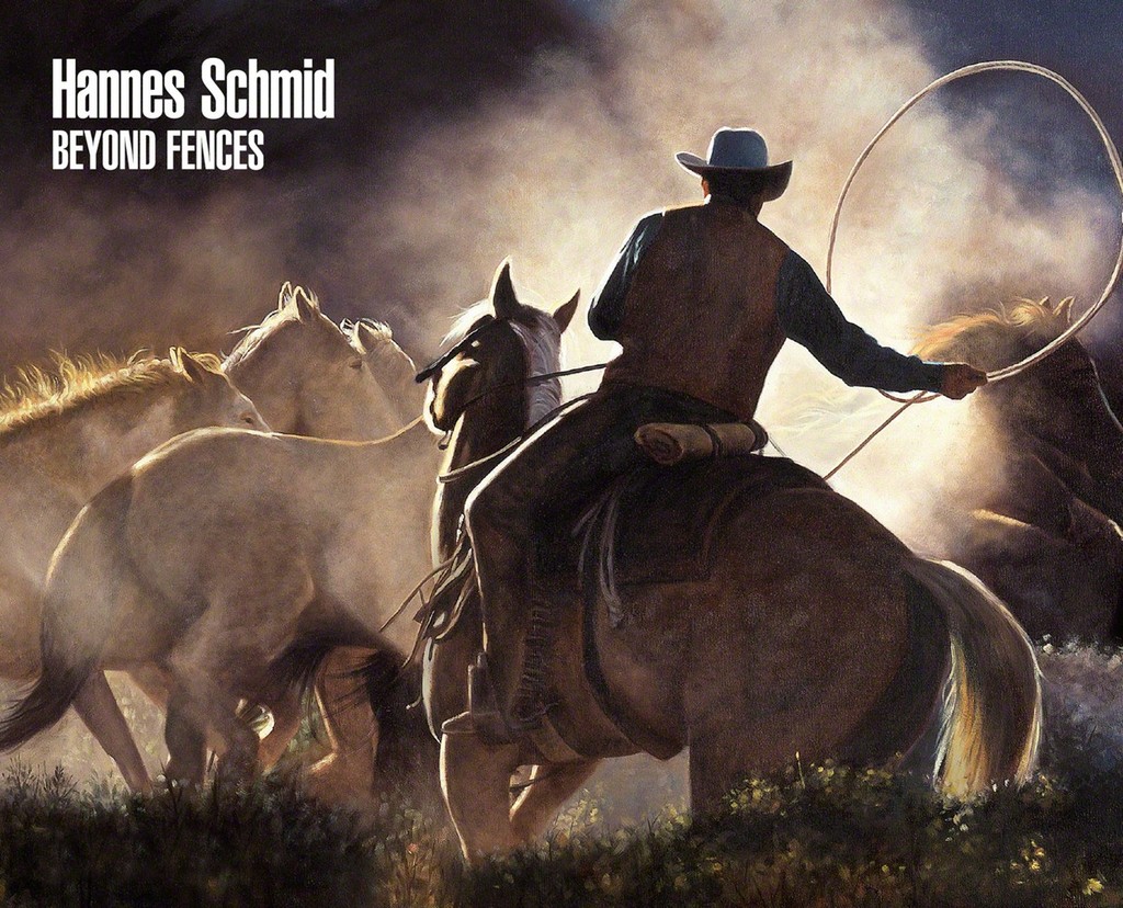 Hannes Schmid – Beyond Fences Hannes Schmid – Beyond Fences