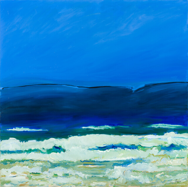 Shorelines: Views from the Edge