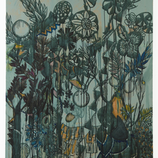 Carole Vanderlinden
