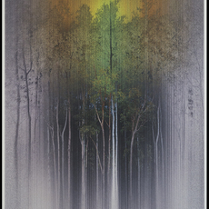 Susumu Endo
