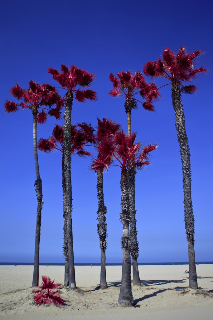 Natalia Mikkola. Santa Monica, 2017. 165 x 110 cm. Chromogenic print mounted on acrylic glass Diasec®. Edition 5 + 2 AP. Natalia Mikkola. Santa Monica, 2017. 165 x 110 cm. Chromogenic print mounted on acrylic glass Diasec®. Edition 5 + 2 AP.