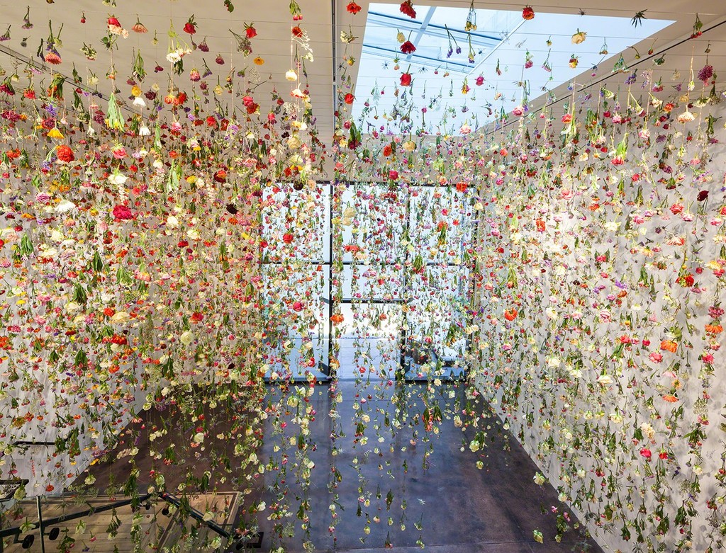 The Beauty of Decay Installation