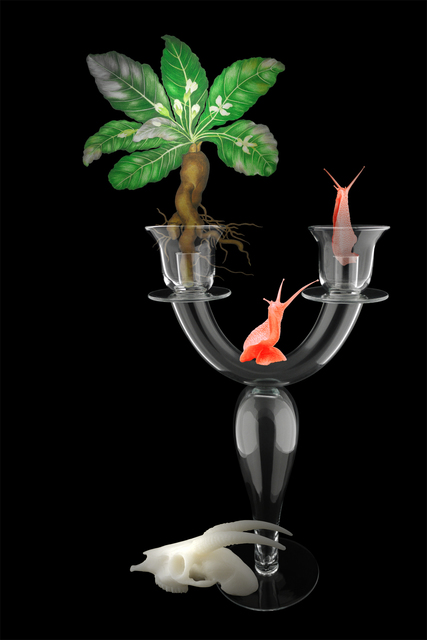 ShihFen Liu, ‘Garden of Mullerian Ducts: Mandragora’, 2016, Asia University Museum of Modern Art
