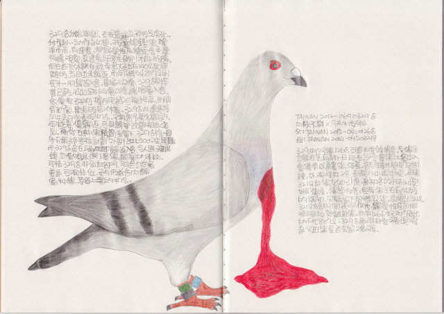 Lee Lichung, ‘Pigeon - TAIWAN 2016-0690329’, 2018, Drawing, Collage or other Work on Paper, Color pencil, Recycled paper notebook, Powen Gallery