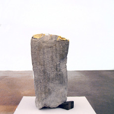 Franck Scurti