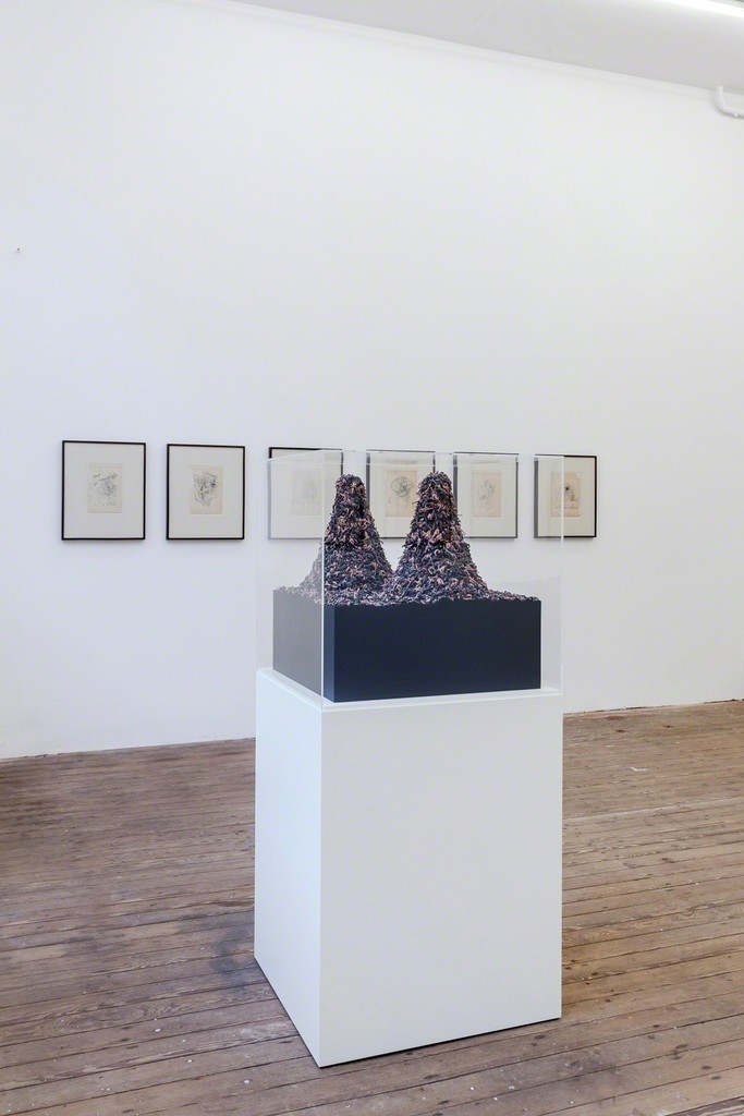 © Jake and Dinos Chapman. Courtesy Galerie Gabriel Rolt. © Jake and Dinos Chapman. Courtesy Galerie Gabriel Rolt.