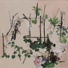 Shen Ruijun