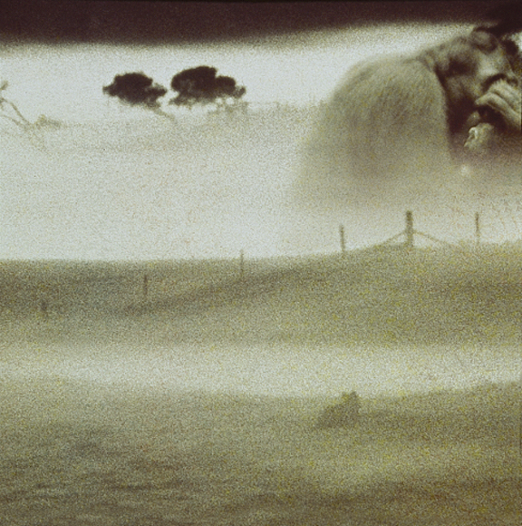 Lisa Roet, ‘Napoleon 4’, 2001, MARS