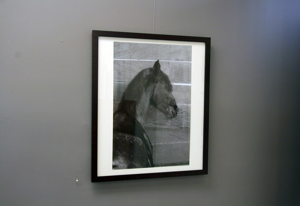 Carolyn Krieg,Image:"Stalled Mare", 2016, archival pigment print 1/5, 28 x 18.5”, 32x27.5" framed. In a recent interview the artist spoke about her process, "In one sense, that of observation, my process is the same. Out in the world I look with “new” eyes and “soft” eyes and the rest of my senses. This seeing directs my camera as I angle to capture whatever amazes me. In the studio I intuitively “emerge” the final pieces with drawing and painting techniques, still using “new” and “soft” eyes." Carolyn Krieg,Image:"Stalled Mare", 2016, archival pigment print 1/5, 28 x 18.5”, 32x27.5" framed. In a recent interview the artist spoke about her process, "In one sense, that of observation, my process is the same. Out in the world I look with “new” eyes and “soft” eyes and the rest of my senses. This seeing directs my camera as I angle to capture whatever amazes me. In the studio I intuitively “emerge” the final pieces with drawing and painting techniques, still using “new” and “soft” eyes."