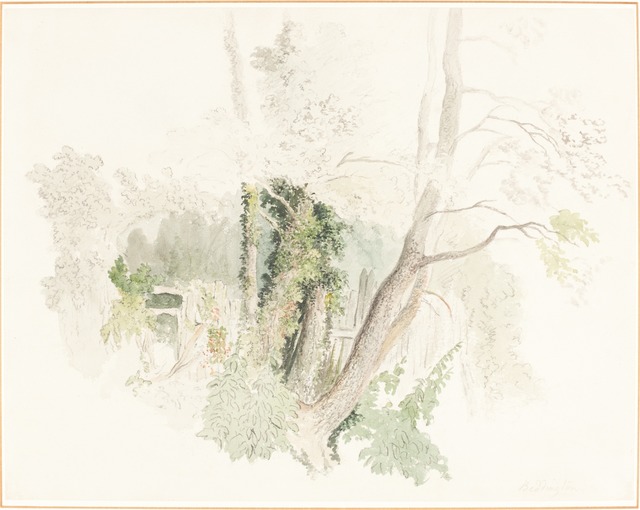 Robert Hills, ‘Trees at Beddington’, possibly c. 1805, National Gallery of Art, Washington, D.C.