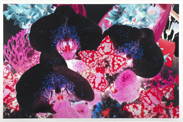 Marc Quinn, ‘At the Far Edges of the Universe I’, 2010, New Gallery of Modern Art