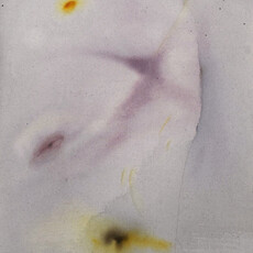 Arlina Cai