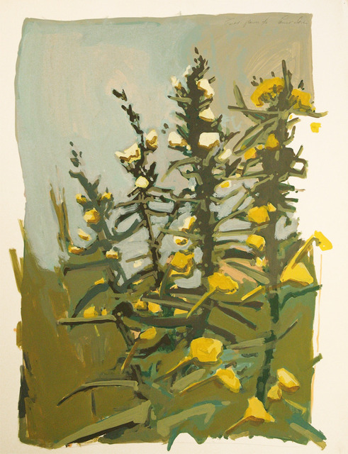 Robert Dash, ‘Field Flower’, ca. 1980, C. Grimaldis Gallery