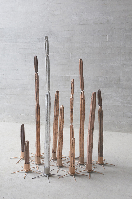 Silvana Pestana, ‘Huachuma II’, 2017, Ginsberg Galería