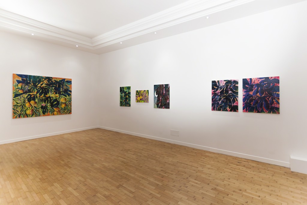 Nicholas William Johnson installation view Nicholas William Johnson installation view