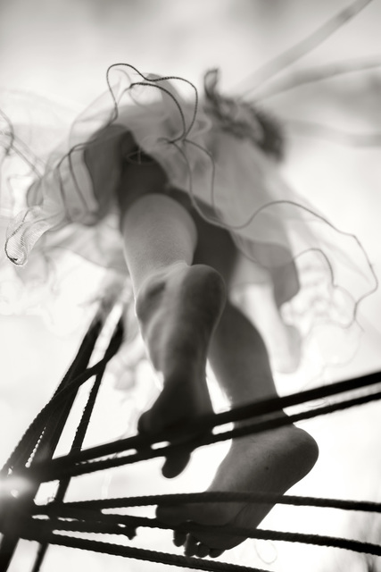 Alain Laboile, ‘Dragonfly’, 2013, 29 ARTS IN PROGRESS gallery