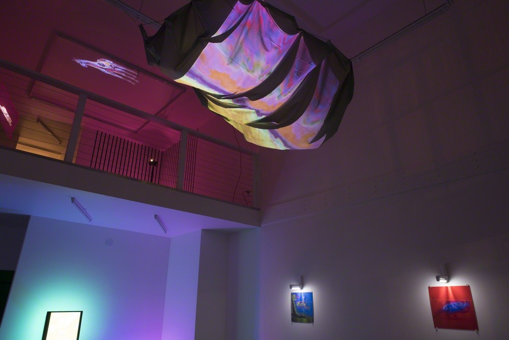 Paula Morales, installation view, 2017 Paula Morales, installation view, 2017