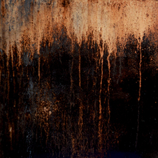 Maria Misselbrook
