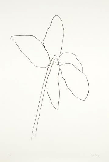 Ellsworth Kelly, ‘Cyclamen IV’, Print, Lithograph, Brooke Alexander, Inc.