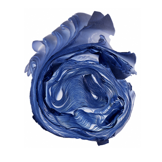Cara Barer, ‘Blue Rose’, 2013, Susan Spiritus Gallery