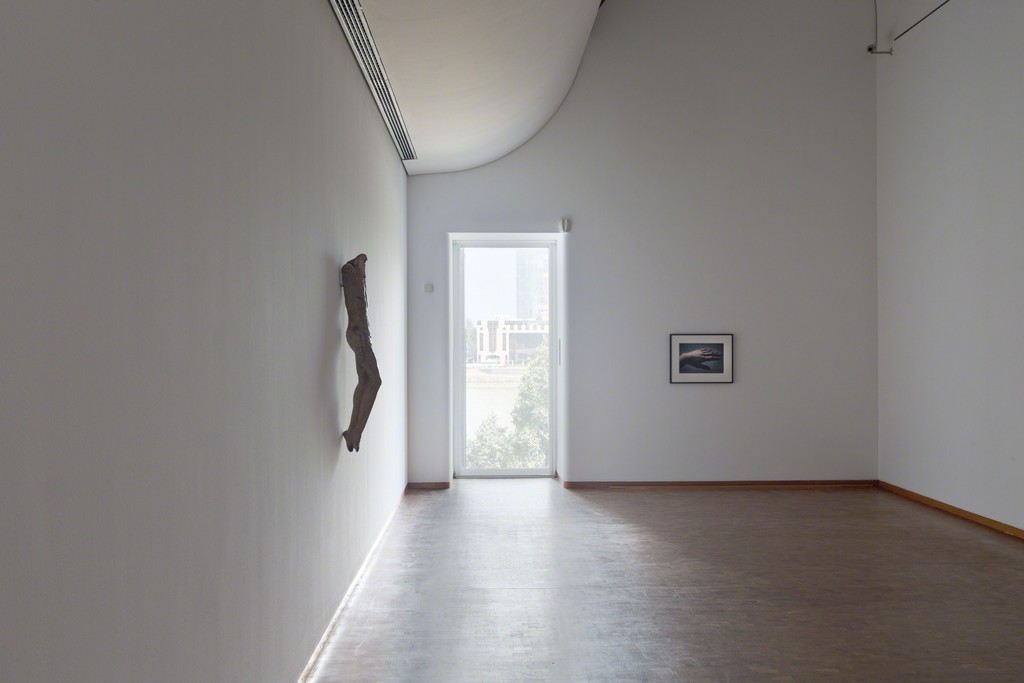 Installation view of "Danh Võ: Ydob eht ni mraw si ti" at Museum Ludwig, Cologne (2015) Installation view of "Danh Võ: Ydob eht ni mraw si ti" at Museum Ludwig, Cologne (2015)