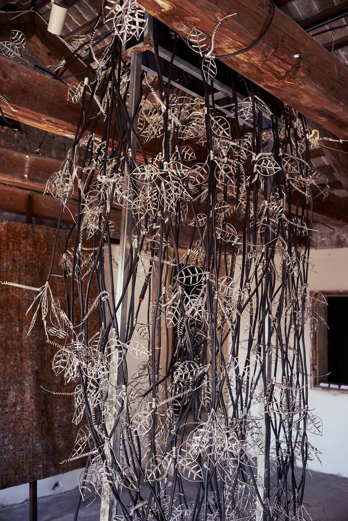Photo by Alex John Beck for Artsy. Photo by Alex John Beck for Artsy.