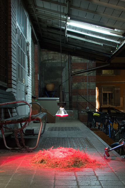 Nicolas Vionnet, ‘Vogelnest’, 2015, Installation, Infrared warming lamp, lamp holder, dried grass, mirror panel, Alfa Gallery