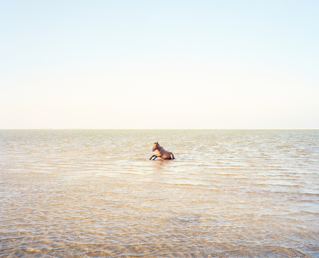 Vasantha Yogananthan, ‘The Horse From The Sea’, 2018, Photography, Archival Inkjet print on Canson print making Rag 310gsm paper, The Photographers' Gallery | Print Sales