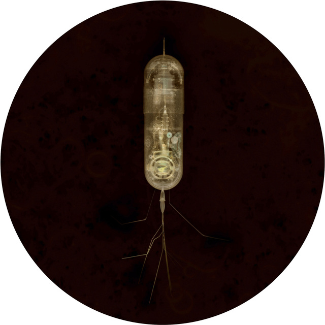 Laurent Lamarche, ‘Macro 2’, 2009, Art Mûr