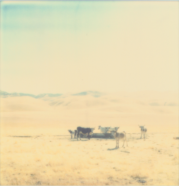 Stefanie Schneider, ‘Untitled - Oilfields’, 2004, Photography, Analog C-Print, based on an original expired Polaroid, not mounted, Instantdreams