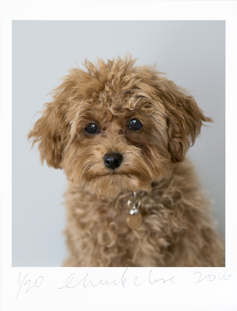 Chuck Close, ‘Cinnamon’, 2016, Adamson Gallery