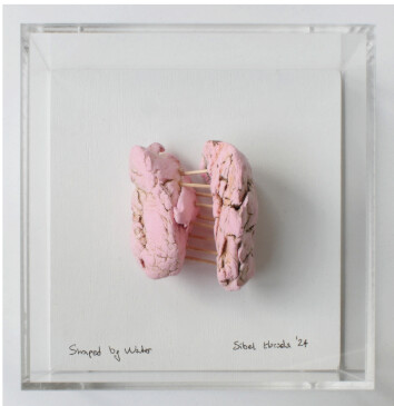 Shaped by Water Series" — Sibel Horada (2024)