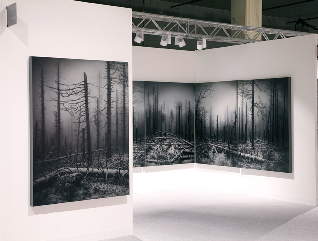 Nemora installation Nemora installation