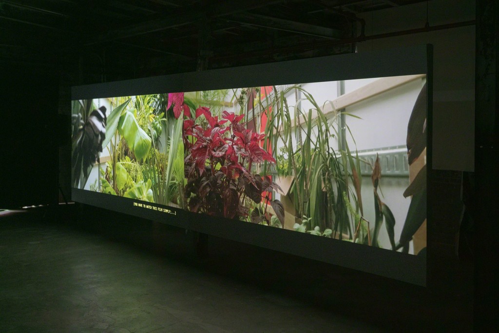 Alison O'Daniel, Room Tone (installation view), 2016. Presented at the Knockdown Center, Maspeth, NY. Courtesy the artist and Art in General. Alison O'Daniel, Room Tone (installation view), 2016. Presented at the Knockdown Center, Maspeth, NY. Courtesy the artist and Art in General.