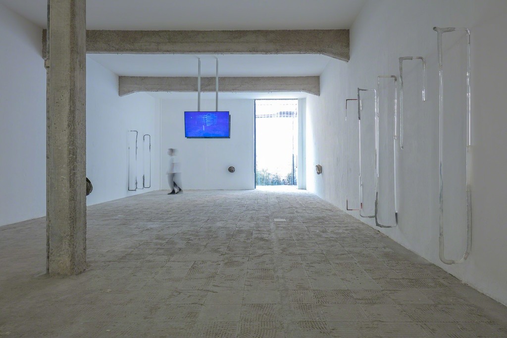 Adriano Amaral - "Rurais" exhibition view, Galeria Jaqueline Martins, 2017 Adriano Amaral - "Rurais" exhibition view, Galeria Jaqueline Martins, 2017