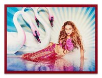 Madonna: Mythical Swans, New York
