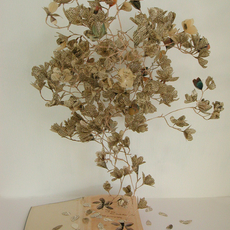 Su Blackwell