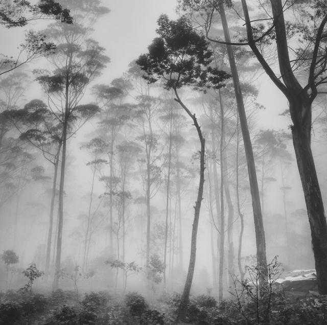 洋書 THE REFINED EYE by Hengki Koentjoro THE REFINED EYE 